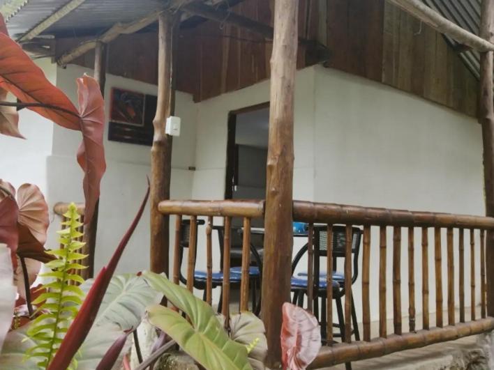 Sapiens House 